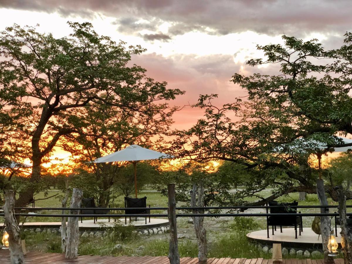 Etosha Oberland Lodge Окаукуэджо Экстерьер фото