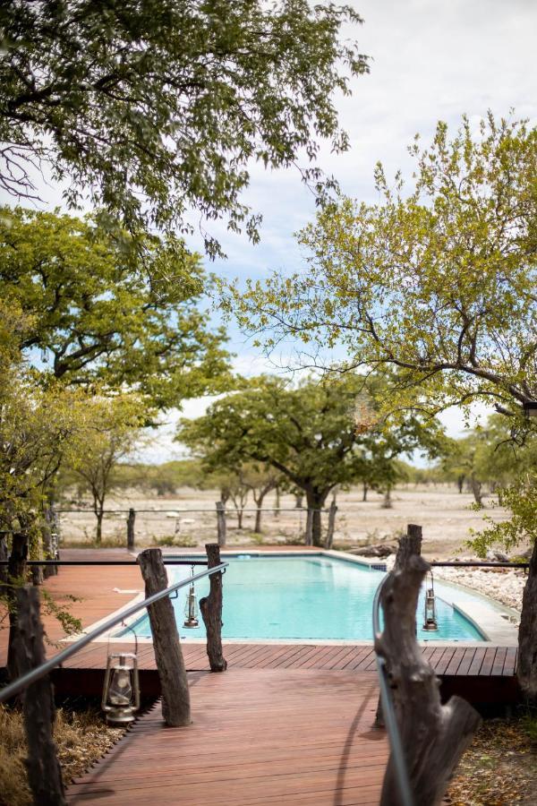 Etosha Oberland Lodge Окаукуэджо Экстерьер фото